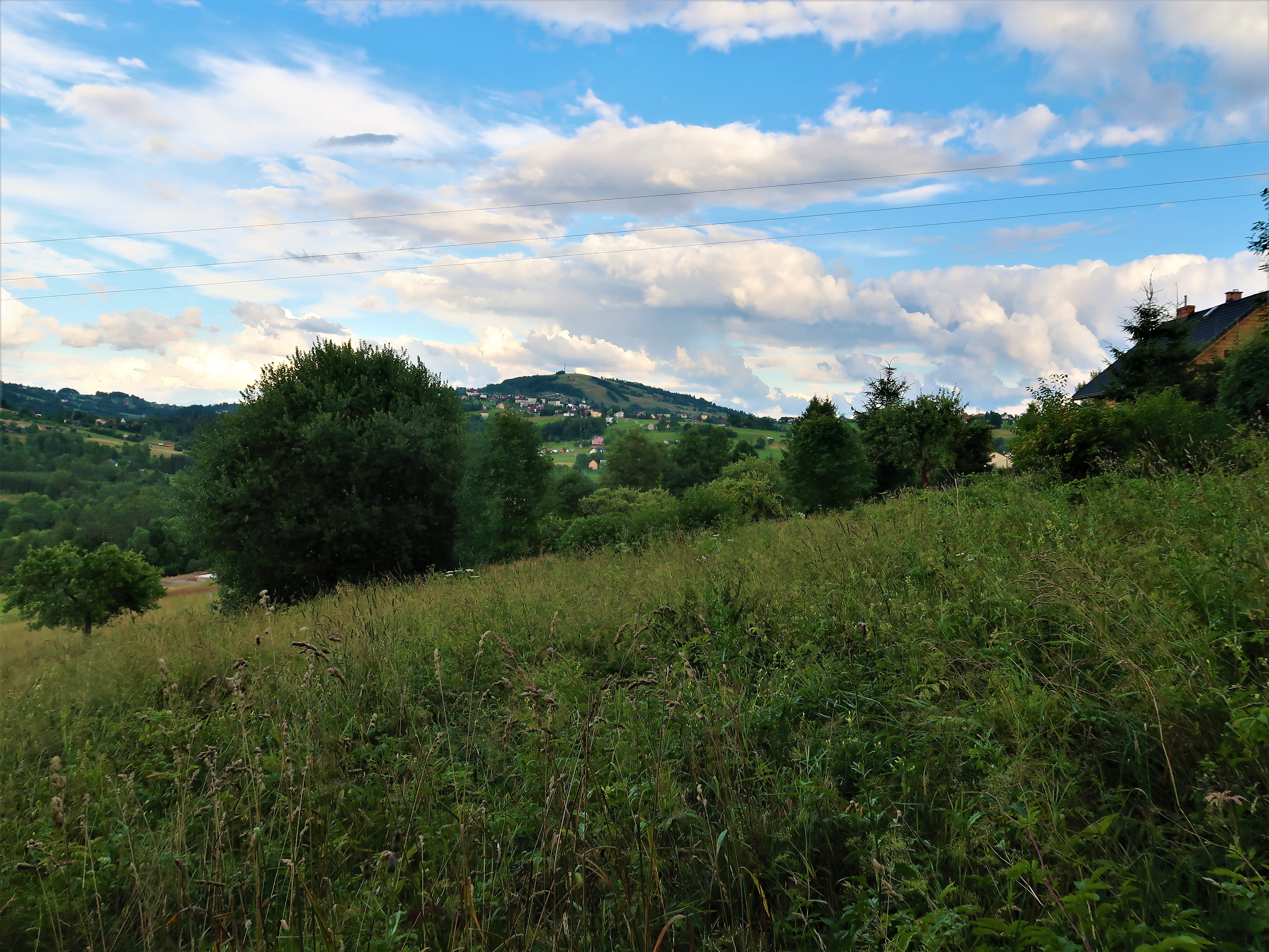 Na sprzedaż działka budowlana we wsi Istebna, położona na wschodniej stronie Złotego Gronia. Bardzo dobry dojazd do działki, prąd i woda w sąsiedztwie, ładny widok.