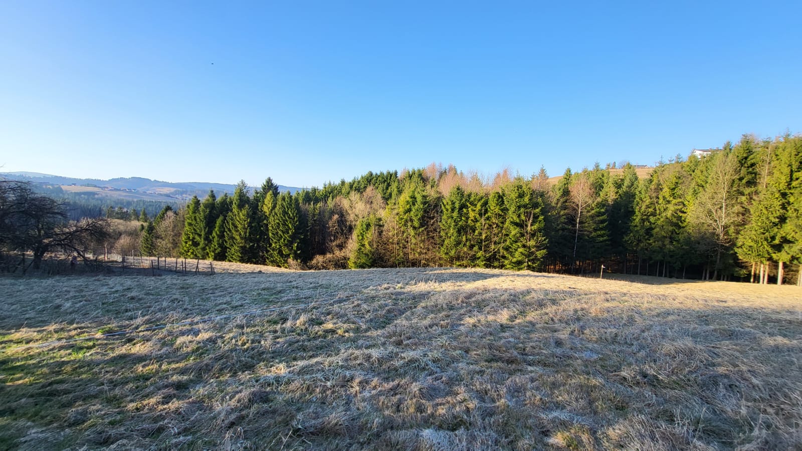 Na sprzedaż wyjątkowa działka rolno-budowlana o powierzchni 50 arów, położona w malowniczej i spokojnej miejscowości Jaworzynka. To idealne miejsce dla osób szukających ciszy, natury i prywatności, a jednocześnie chcących wybudować dom w niezwykłym otoczeniu.
Najważniejsze informacje:
powierzchnia: 50 arów
około 12 arów stanowi część budowlana, pozostała część to teren rolny
przez działkę przebiega kanalizacja
woda i prąd dostępne na działce sąsiedniej
teren w dużej części porośnięty około 40-letnimi świerkami
przez działkę przepływa górski strumyk
Działka ma wyjątkowy, naturalny charakter – las świerkowy oraz przepływający strumień tworzą niepowtarzalny klimat, który trudno znaleźć w innych lokalizacjach. To doskonałe miejsce na budowę domu całorocznego, domku letniskowego lub stworzenie prywatnej przestrzeni do wypoczynku.
Okolica jest cicha, zielona i spokojna, idealna dla osób ceniących kontakt z naturą, spacery po lesie i górski klimat.
Zapraszam do kontaktu w celu uzyskania dodatkowych informacji oraz umówienia się na prezentację działki.