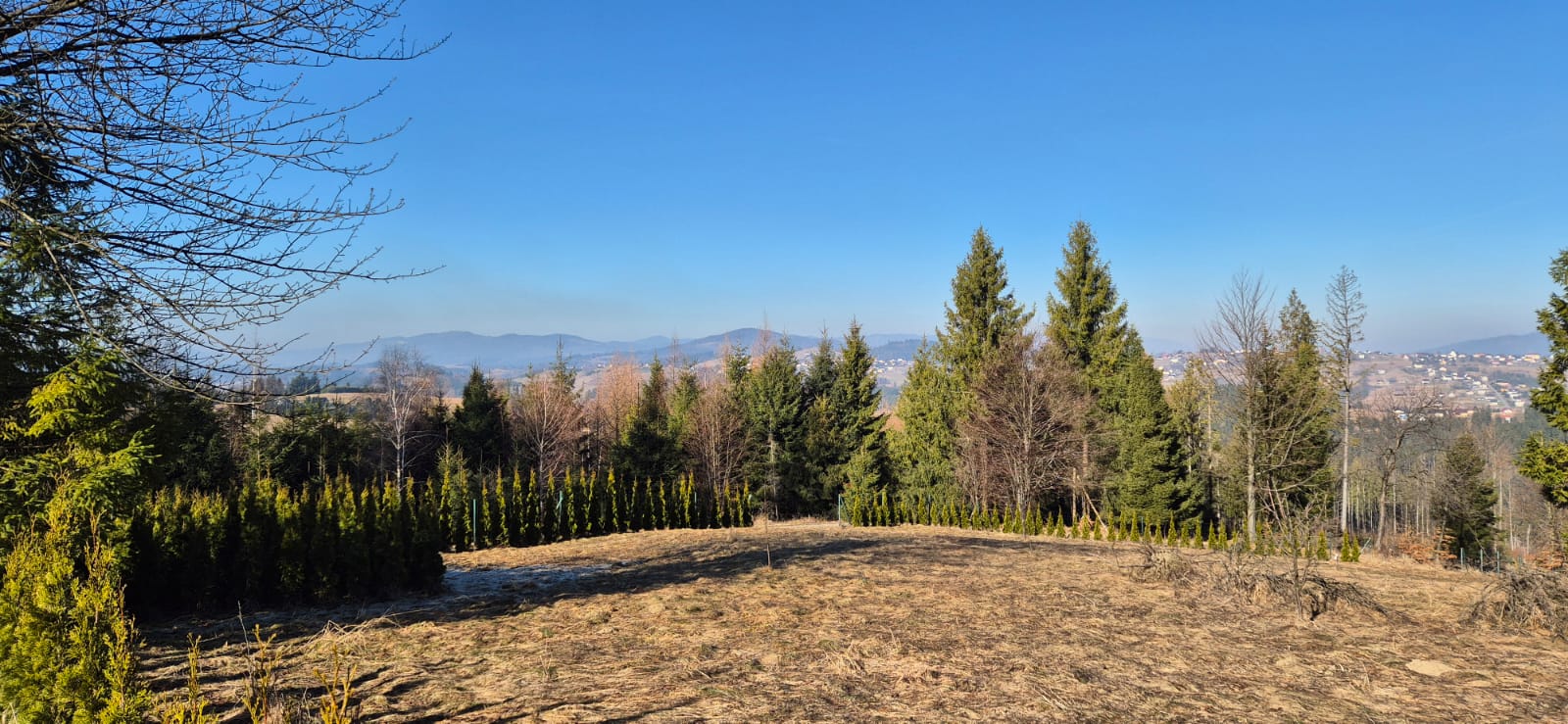 Na sprzedaż wyjątkowo pięknie położona działka rolna – 35 arów
Oferuję na sprzedaż działkę rolną o powierzchni 35 arów, położoną w niezwykle malowniczym i spokojnym miejscu. Działka znajduje się na polanie otoczonej lasem, co zapewnia ciszę, prywatność oraz bezpośredni kontakt z naturą.
Teren jest ogrodzony i obsadzony tujami, dzięki czemu jest osłonięty i zapewnia komfortowy wypoczynek. Dojazd do działki jest bardzo dobry, co umożliwia wygodne korzystanie z niej przez cały rok.
Działka posiada piękne, widokowe położenie i doskonale nadaje się jako miejsce na rekreację, weekendowy wypoczynek lub ustawienie przyczepy kempingowej.
To idealna propozycja dla osób ceniących spokój, naturę i odpoczynek z dala od zgiełku miasta.
- Powierzchnia: 35 arów
- Ogrodzona działka obsadzona tujami
- Bardzo dobry dojazd
- Malownicza lokalizacja w otoczeniu lasu
- Idealna na rekreację
Zapraszam do kontaktu i obejrzenia działki.